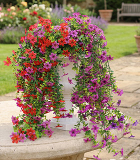 Obmnor four artificial vines with no pots