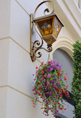 Obmnor four-pack hanging flowers on porch setup