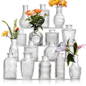 ODBCYWM Glass Bud Vases 16 with assorted shapes for elegant centerpieces.
