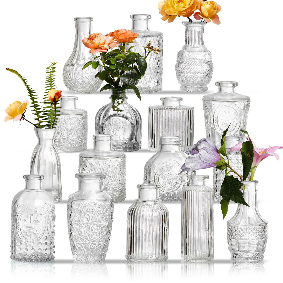 ODBCYWM Glass Bud Vases 16 with assorted shapes for elegant centerpieces.