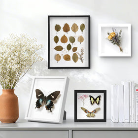 ODPF ShadowBox 6-pack white 5x5 shown with arranged keepsakes on shelf.