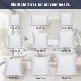 OKBA two-pack inserts ideal for sofa, bed, and home décor projects.