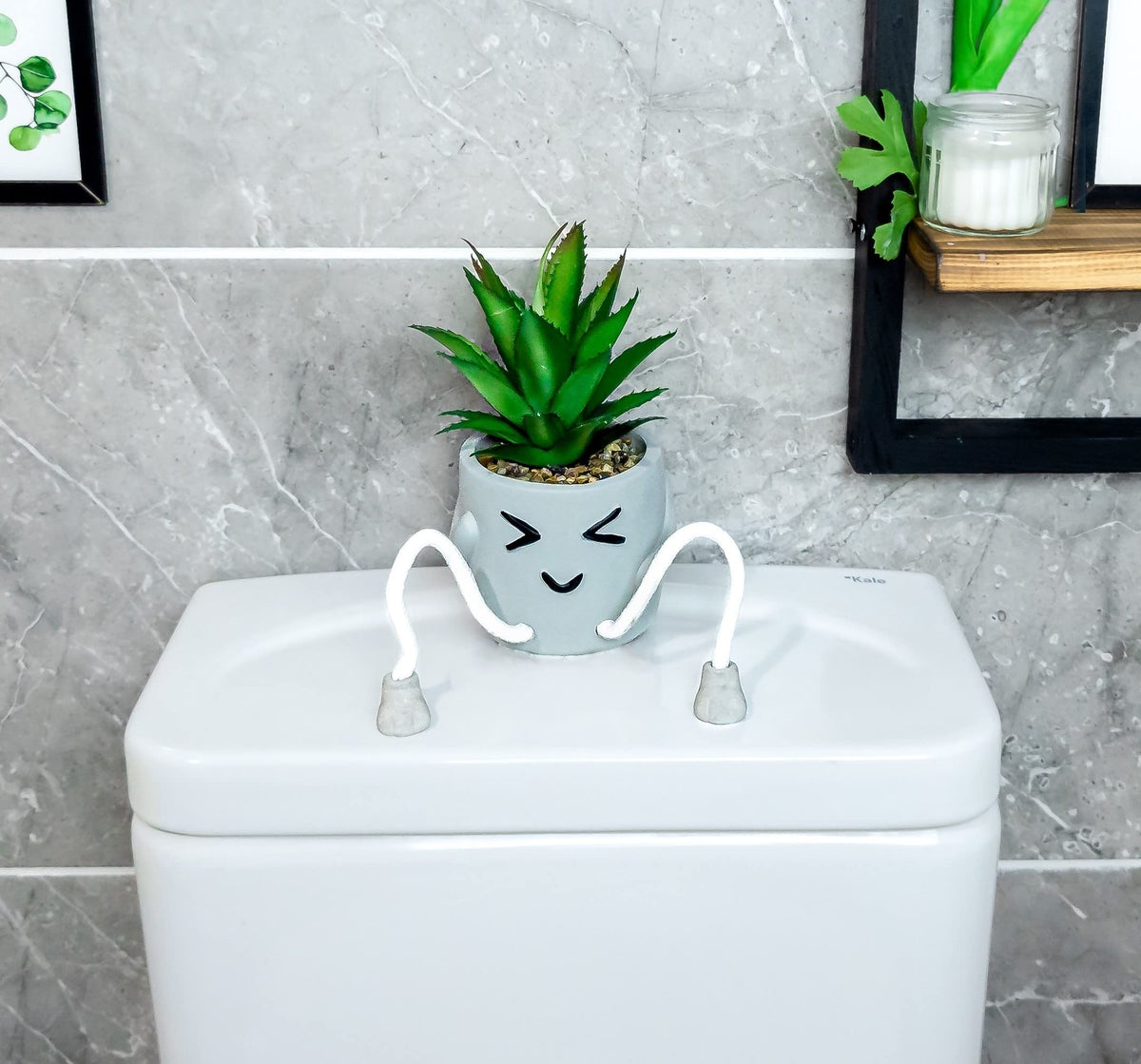 OLEEK little succulents collection desk centerpiece for lively workspaces.