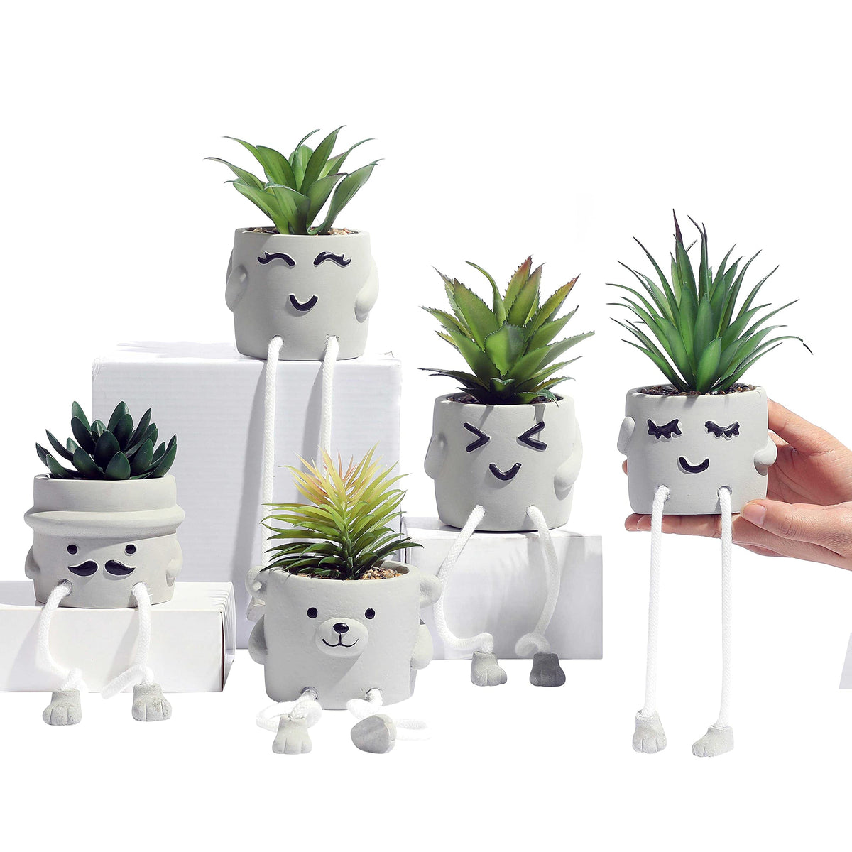 OLEEK maintenance-free succulents office decor stay vibrant with no routine care.