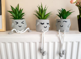 OLEEK office cubicle decor succulents add personality to your workspace.