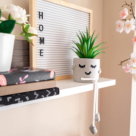 OLEEK office decor gift idea with cute desk plants for coworkers.