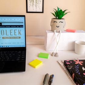 OLEEK office shelf decor succulents bring subtle color to shelves.