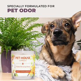 One Fur All lavender candle diffuses a gentle scent through a room