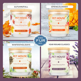 One Fur All lavender candle focuses on clean burn with soy wax for long-lasting fragrance