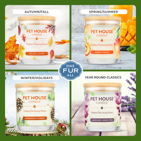 Lit One Fur All Pet House Vanilla Candle creates warm citrus-vanilla ambiance.