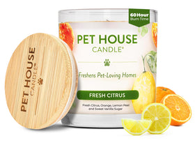 One Fur All Pet House Vanilla Candle packaging enhances a pet-friendly living space.
