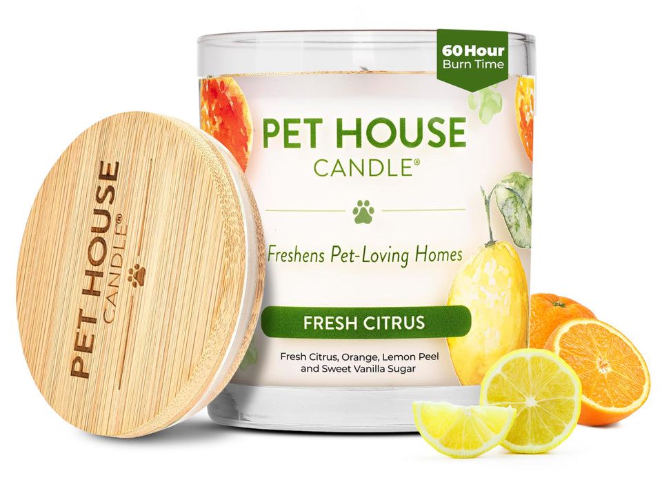 One Fur All Pet House Vanilla Candle packaging enhances a pet-friendly living space.