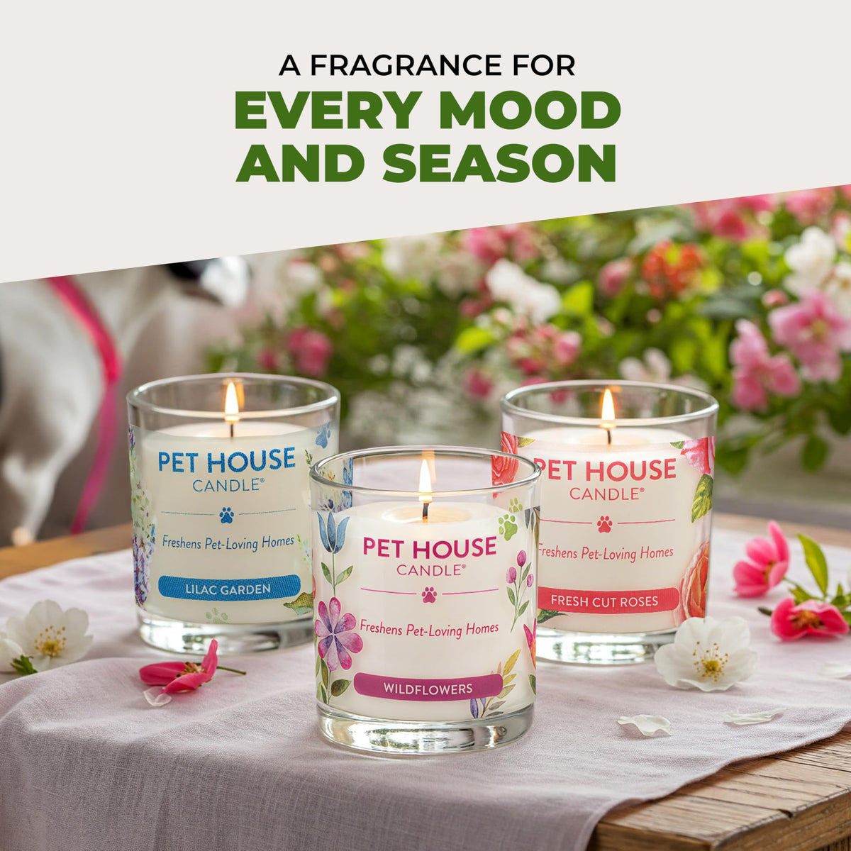 Vanilla citrus fragrance focus of One Fur All candle for fresh scent.