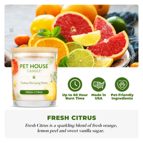 Close-up of One Fur All candle soy wax highlight plant-based formula.