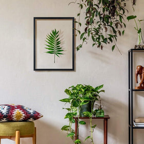 One Wall plant or pressed flower display adds natural texture to interiors.