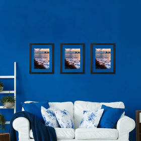 ONE WALL frame displaying pressed flowers for decor.