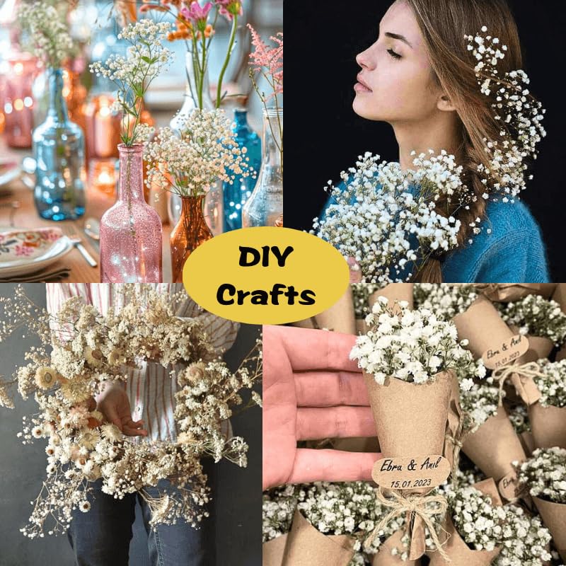 Oning natural gypsophila bulk ivory white dried flowers aesthetic display