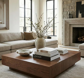 ORITZIO coffee table books showcase open lid storage for essentials.