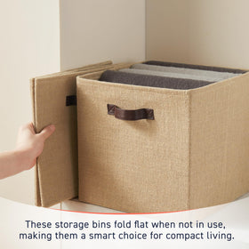 Ornavo Home closet organization with six bins in a neutral space.