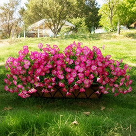 Orphidel indoor outdoor pink flowers for bright maintenance-free styling.