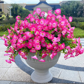 Orphidel faux floral cluster for porch railing display.
