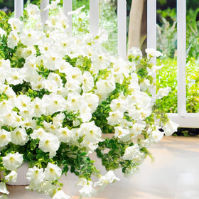 Orphidel realistic faux flowers offer UV-resistant color for outdoor use.