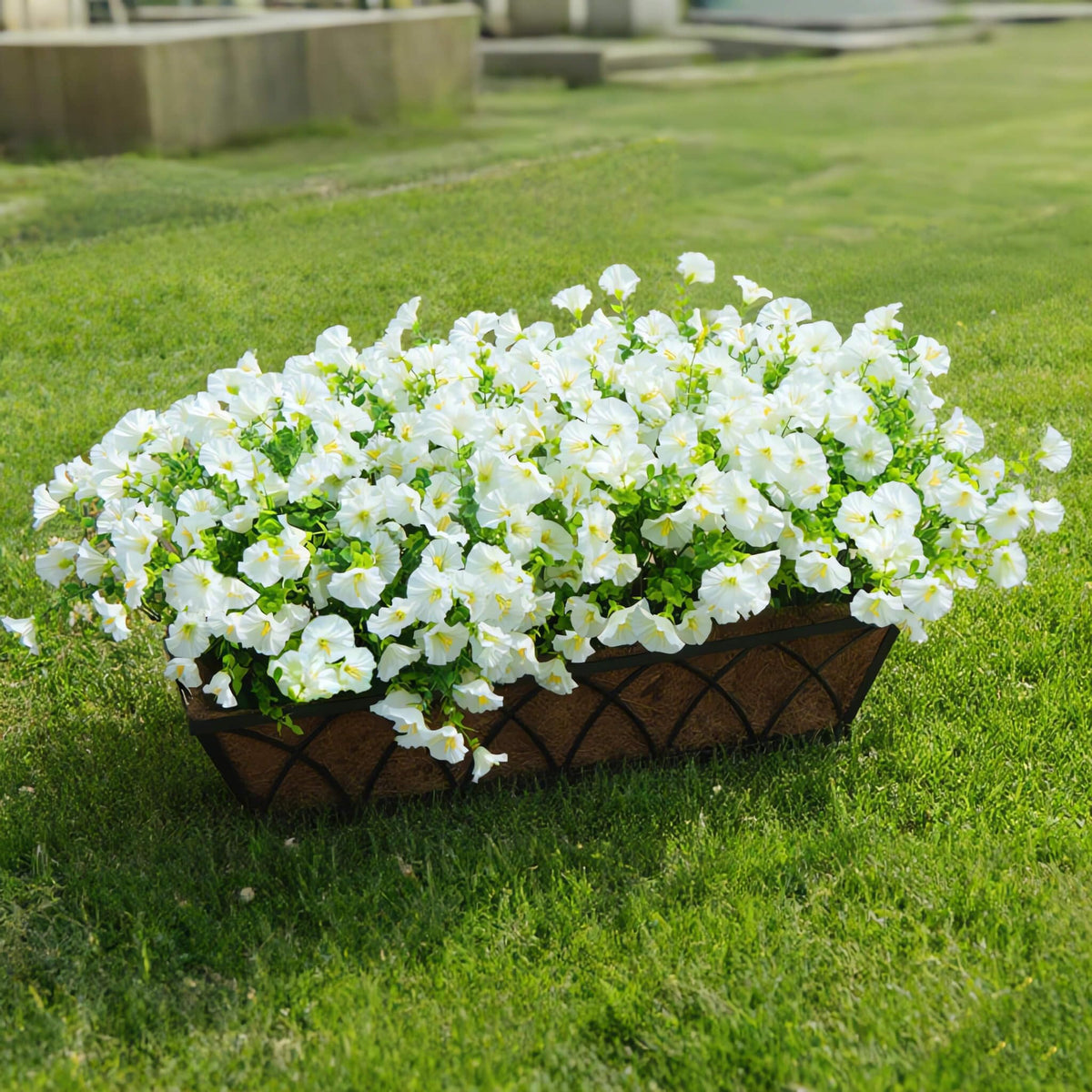 Orphidel weatherproof artificial plants designed to withstand sun and rain.