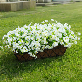 Orphidel weatherproof artificial plants designed to withstand sun and rain.