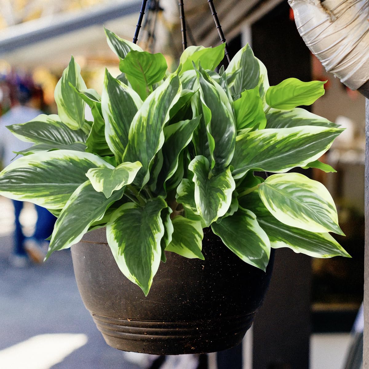OTATOT dense tropical leaves for versatile arrangements.