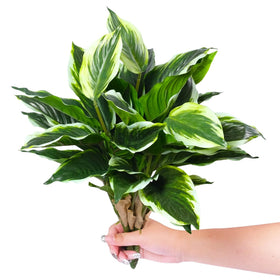 OTATOT 15.75-inch stems create dense, realistic plant accents.