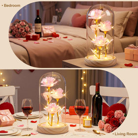 Otlonpe wooden base preserved rose display looks curated and elegant.