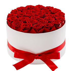 Otuo preserved rose close-up in box shows vivid real petals.