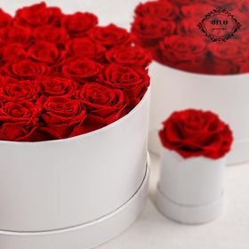 Otuo no watering required roses offer carefree longevity.