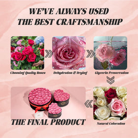 Otuo roses decor display shows preserved blooms brightening a room without upkeep.