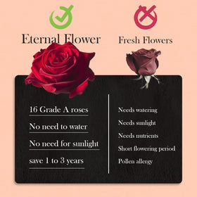 Otuo preserved roses' soft texture close-up showing enduring charm