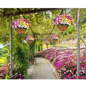 Ouddy Decor multicolor flowers brighten porches and balconies.