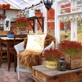 Ouddy Decor diy-friendly outdoor decor ideas with these lush stems.