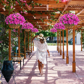 Ouddy Decor hanging plants provide flexible decor for indoors and outdoors.