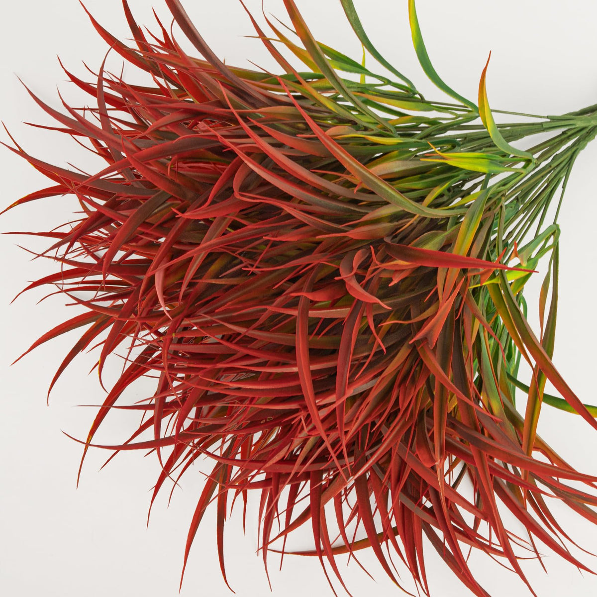 Ouddy Decor no-maintenance fake plants outdoor for easy landscaping.