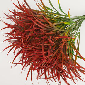Ouddy Decor no-maintenance fake plants outdoor for easy landscaping.