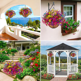 Ouddy Decor outdoor hanging display brightens balconies and porches all year.