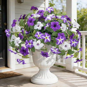Ouddy Decor outdoor petunia bundle enhances garden color with lifelike blooms.