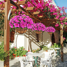 Ouddy Decor azalea hanging decor enhances patios and gardens.