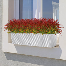 Ouddy Decor window box greenery ideal for curb appeal and color.