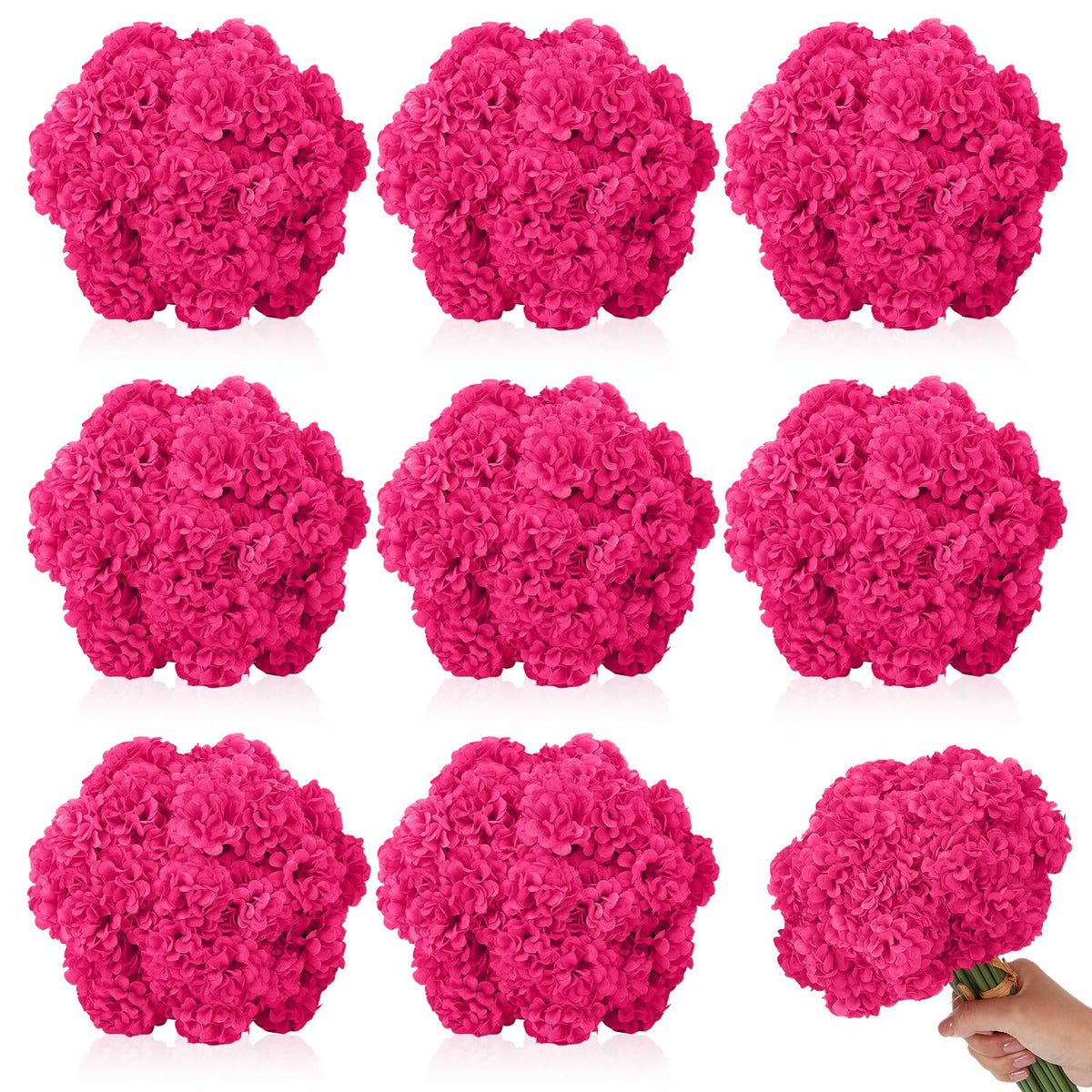 Ovveroche detailed hydrangea bloom closeup with realistic shading