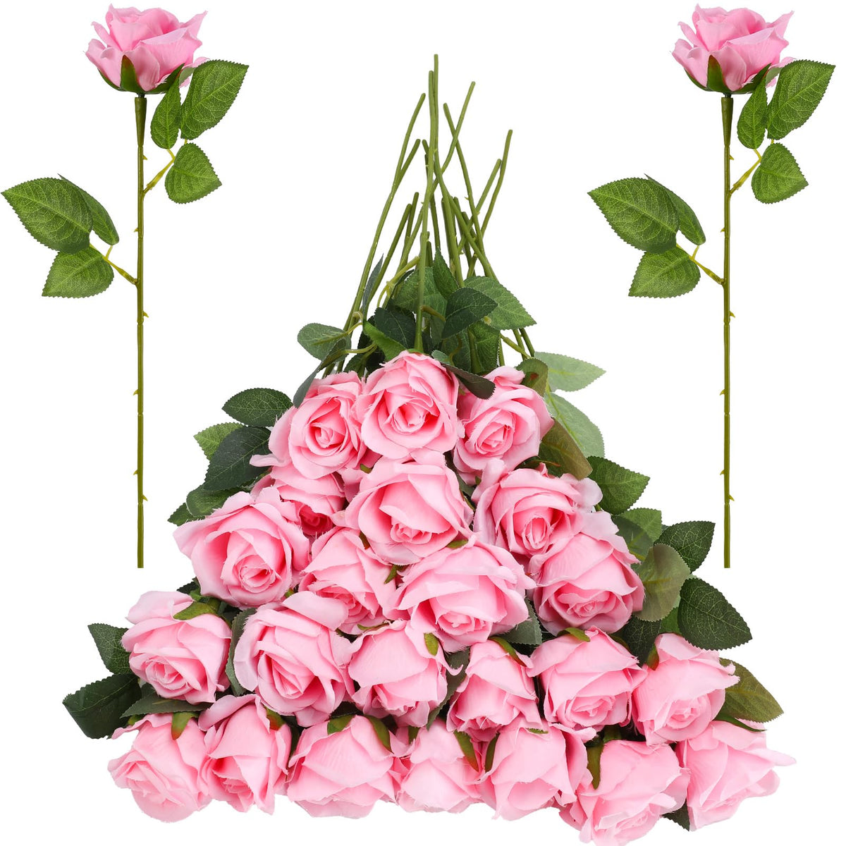 Ovveroche long-lasting pink roses for seasonal displays