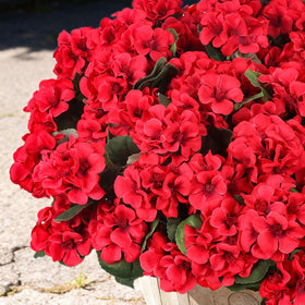 PABREY adjustable stems simplify custom arrangements and events.