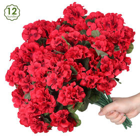 PABREY geraniums brighten porch and yard spaces.