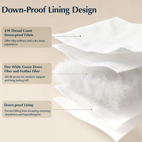 Ethical sourcing with RDS and OEKO-TEX certification for Pacific Coast pillows
