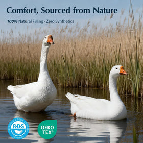 Pacific Coast goose down fiber fill delivering soft loft
